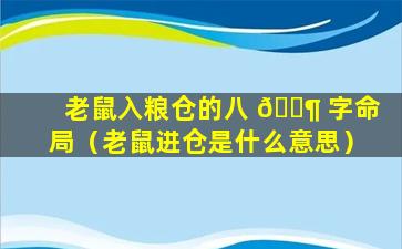 老鼠入粮仓的八 🐶 字命局（老鼠进仓是什么意思）